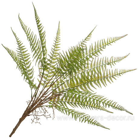 Растение искусственное Папоротник Кочедыжник, H78 см - фото 1