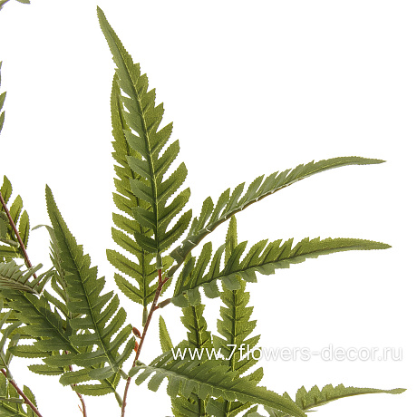 Растение искусственное Папоротник Королевский, H102 см - фото 2