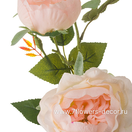 Цветок искусственный Роза садовая, H79 см, с силиконовым покрытием - фото 2