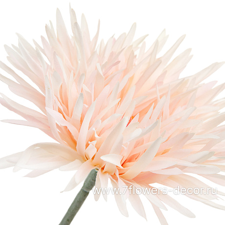 Цветок искусственный Гербера Спайдер, Н66 см - фото 2