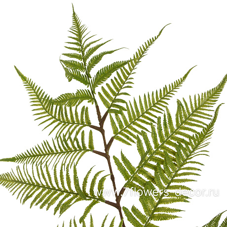 Растение искусственное Папортник Диксивуд, H170 см - фото 2