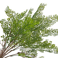 Растение искусственное "Папоротник Адиантум", H78 см - фото 1