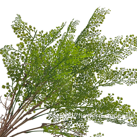Растение искусственное Папоротник Адиантум, H78 см - фото 1