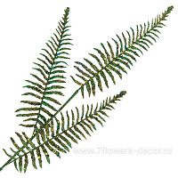 Ветка искусственная "Папоротник" (пластик), H71 см, с глиттером - фото 1