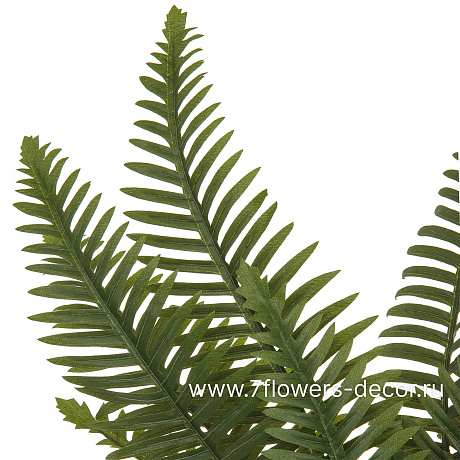 Растение искусственное Папоротник Диксивуд, H68 см - фото 2