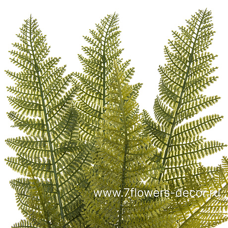 Растение искусственное Папоротник Кочедыжник, H70 см - фото 2
