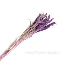 Букет из сухих колосовых культур "Могар", H60 см - фото 1