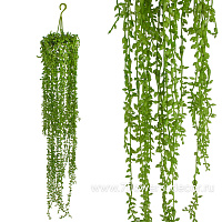 Растение искусственное "Крестовник Роули" , 76 см - фото 1