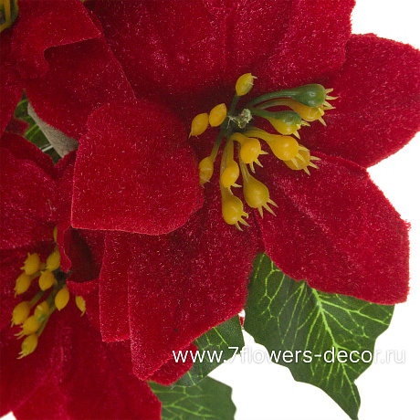 Цветок искусственный Пуансеттия в кашпо (ткань), Н20 см - фото 2