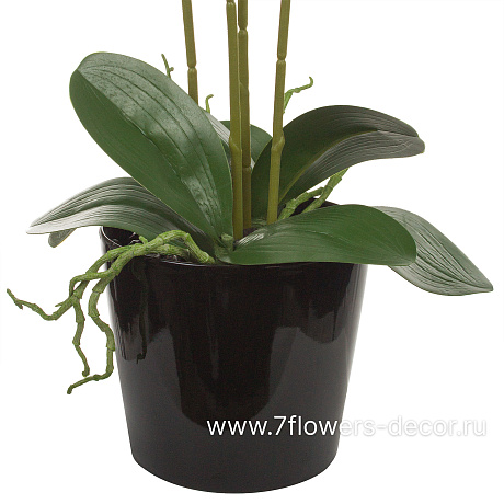 Растение искусственное Фаленопсис в кашпо, H64 см - фото 3