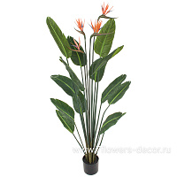 Растение искусственное "Стрелиция" в кашпо,  4 ветки, 14 листьев, H150 см - фото 1
