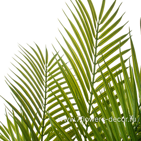 Ветка искусственная Пальма-папоротник, H78 см - фото 2