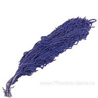 Сухоцветы стабилизированные "Амарант", набор (5 шт) - фото 1