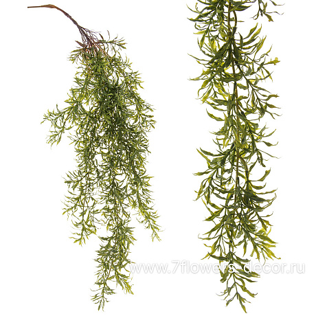 Растение искусственное ампельное Аспарагус Серповидный, H102 см - фото 1