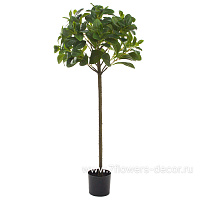 Дерево искусственное в кашпо "Робуста", H90 см - фото 1