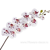 Цветок искусственный "Фаленопсис", H112 см, с силиконовым покрытием - фото 1