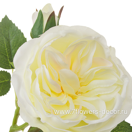 Цветок искусственный Роза пионовидная, H50 см - фото 2
