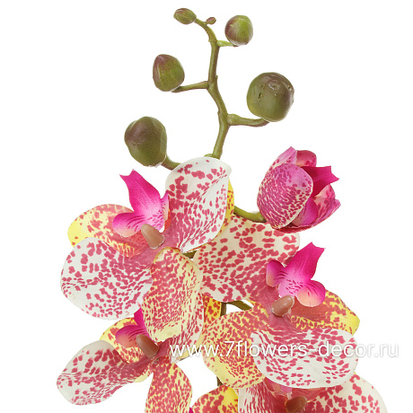 Цветок искусственный Фаленопсис, H78 см, с силиконовым покрытием - фото 2