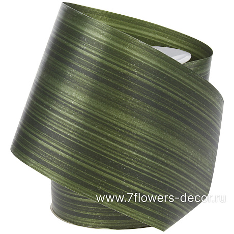 Лента полипропилен Аспидистра, 100 ммx50 м - фото 1