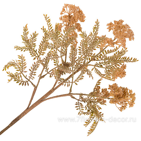Цветок искусственный Озотамнус, H70 см - фото 1