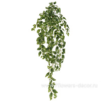 Растение искусственное "Традесканция", 300 листьев, 80 см - фото 1