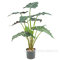 Растение искусственное в кашпо "Алоказия",  11 веток, H67 см