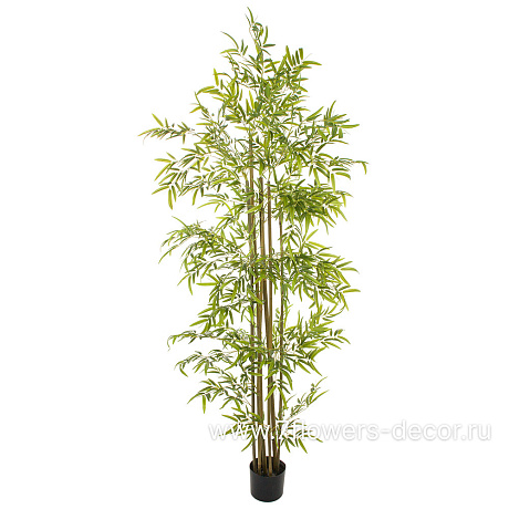 Растение искусственное Бамбук в кашпо, 2160 листьев, H210 см - фото 1