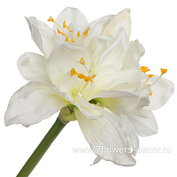 Цветок искусственный "Амариллис", D17xH72 см - фото 1
