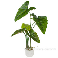 Растение искусственное "Алоказия" в кашпо, H70 см - фото 1