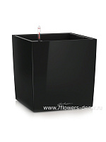 Кашпо Lechuza "Cube Premium Complete black high gloss" (пластик), 50x50xH50 см - фото 1