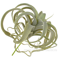 Растение искусственное "Тилландсия", H27 см - фото 1