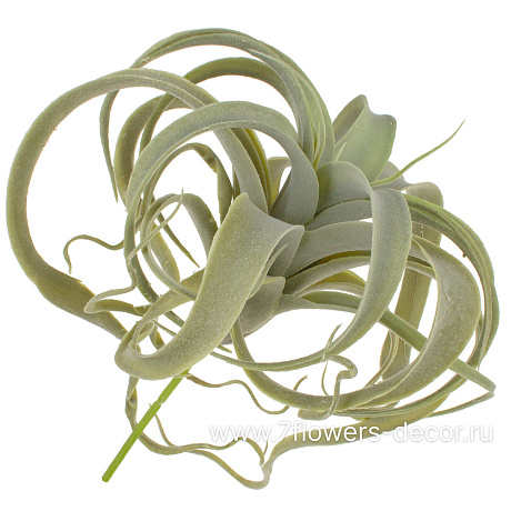 Растение искусственное Тилландсия, H27 см - фото 1