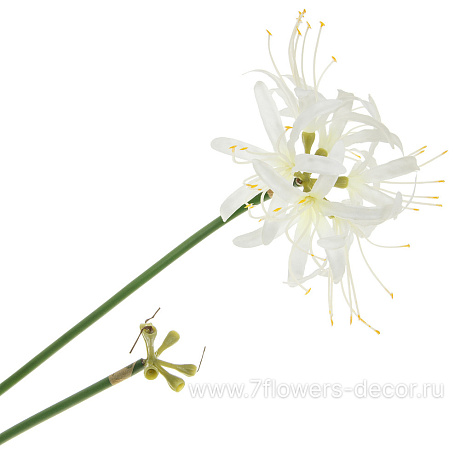 Цветок искусственный Агапантус, H62 см - фото 1
