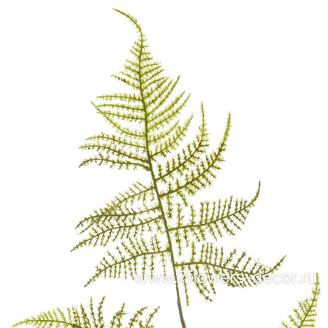 Растение искусственное ампельное Аспарагус Перистый, H117 см - фото 2