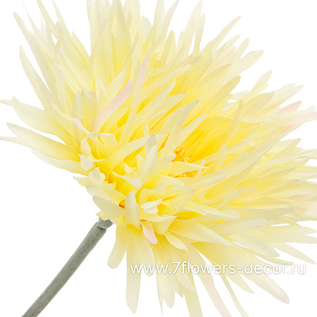 Цветок искусственный Гербера Спайдер, Н66 см - фото 2