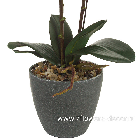 Растение искусственное Фаленопсис в кашпо, H50 см - фото 3