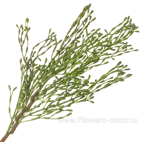 Растение искусственное Аспарагус, H40 см - фото 1