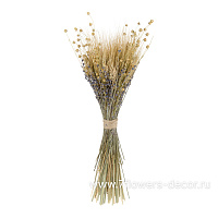 Букет из сухоцветов "Пшеница, лен и лаванда" - фото 1