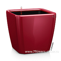 Кашпо Lechuza "Quadro LS Complete scarlet red high gloss" (пластик), 21x21xH20 см - фото 1