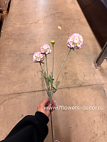 Цветок искусственный "Скабиоза", H60 см - фото 1