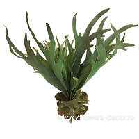 Растение искусственное "Стегхорн", 50 см - фото 1