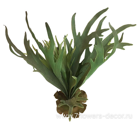 Растение искусственное Стегхорн, 50 см - фото 1