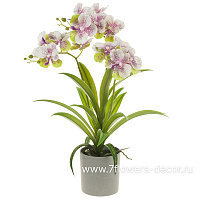 Растение искусственное "Орхидея Ванда" в кашпо, H50 см - фото 1