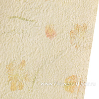 Бумага дизайнерская "Frosty flowers", 53x50 см, набор (10 шт) - фото 1