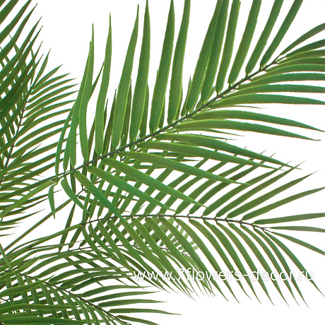 Растение искусственное Пальма Дипсис в кашпо, 22 листа, H120 см - фото 3