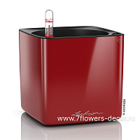 Кашпо Lechuza "Cube Glossy Complete scarlet red high gloss" (пластик), 14x14xH14 см - фото 1