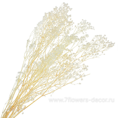 Набор сухоцветов Гипсофила стабилизированный выбеленный, 60-70 см, (90 гр) - фото 1