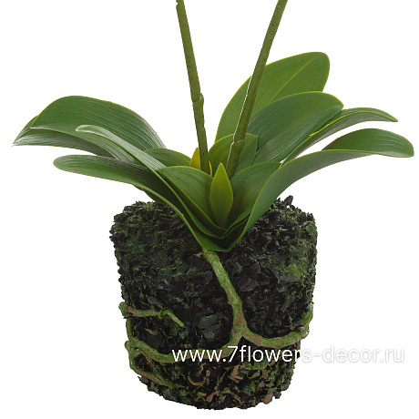Растение искусственное Фаленопсис в кашпо, H46 см - фото 3