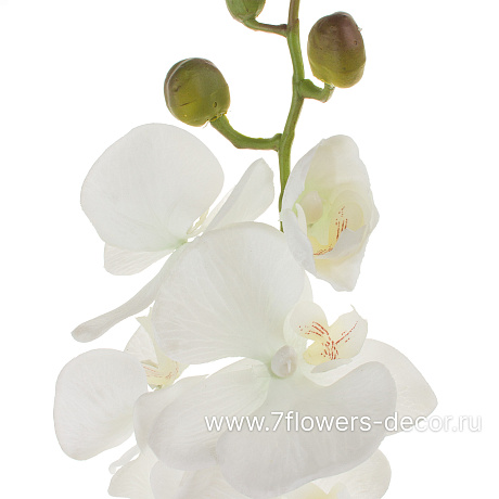 Цветок искусственный Фаленопсис, 78 см - фото 2