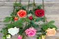 Цветок искусственный "Роза кустовая", H66 см - фото 1